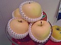 白いリンゴ[63]